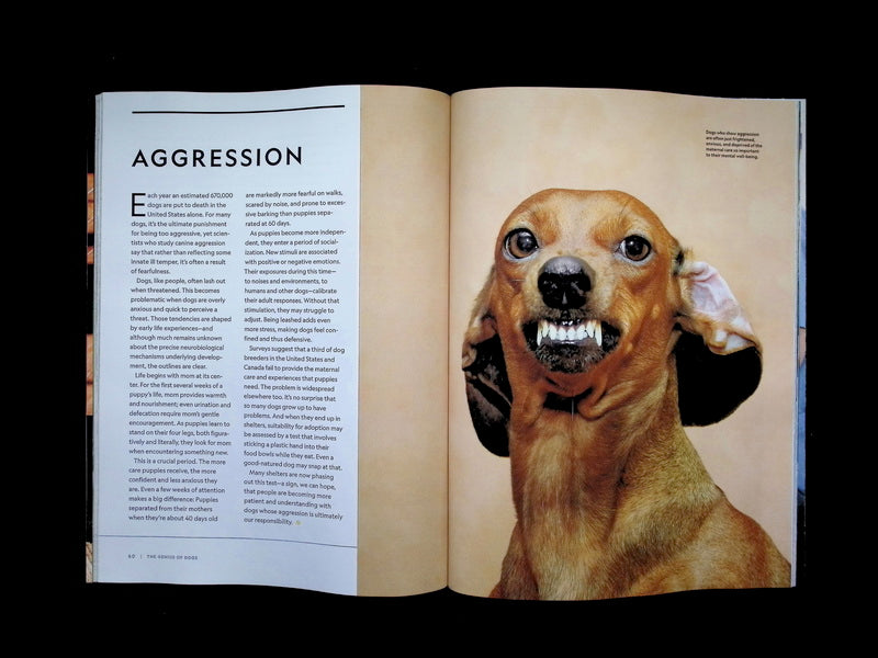 NATIONAL GEOGRAPHIC/ THE GENIUS of DOGS [65] - Part 2