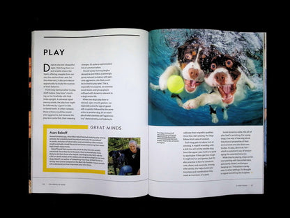 NATIONAL GEOGRAPHIC/ THE GENIUS of DOGS [65] - Part 3