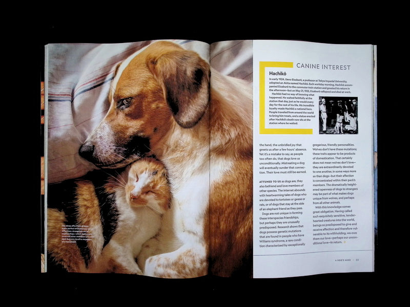 NATIONAL GEOGRAPHIC/ THE GENIUS of DOGS [65] - Part 4