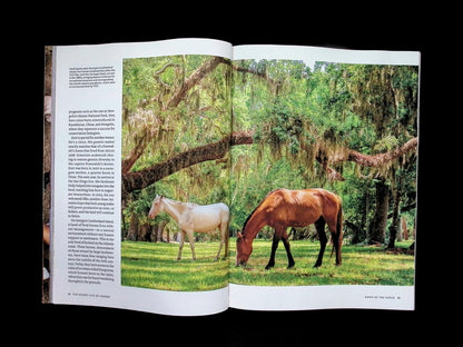 NATIONAL GEOGRAPHIC/ HORSES [65] - Part 1