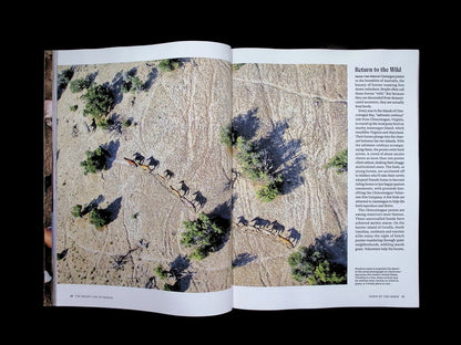 NATIONAL GEOGRAPHIC/ HORSES [65] - Part 2