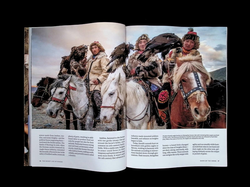 NATIONAL GEOGRAPHIC/ HORSES [65] - Part 3