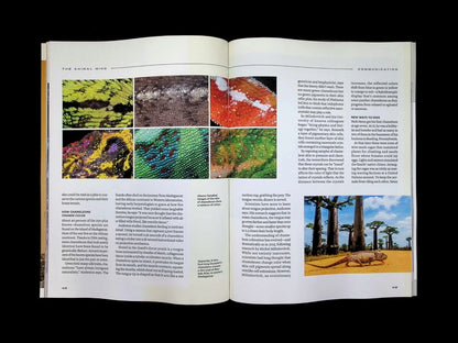 NATIONAL GEOGRAPHIC/ THE ANIMAL MIND [66] (雙封面) - Part 1