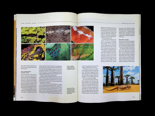 NATIONAL GEOGRAPHIC/ THE ANIMAL MIND [66] (雙封面) - Part 1