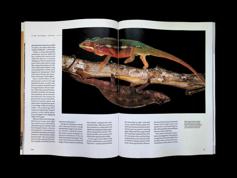 NATIONAL GEOGRAPHIC/ THE ANIMAL MIND [66] (雙封面) - Part 2
