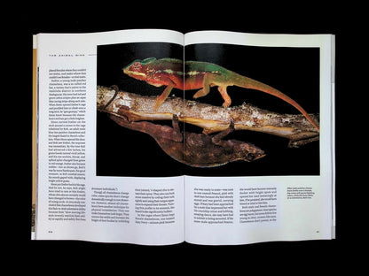 NATIONAL GEOGRAPHIC/ THE ANIMAL MIND [66] (雙封面) - Part 2