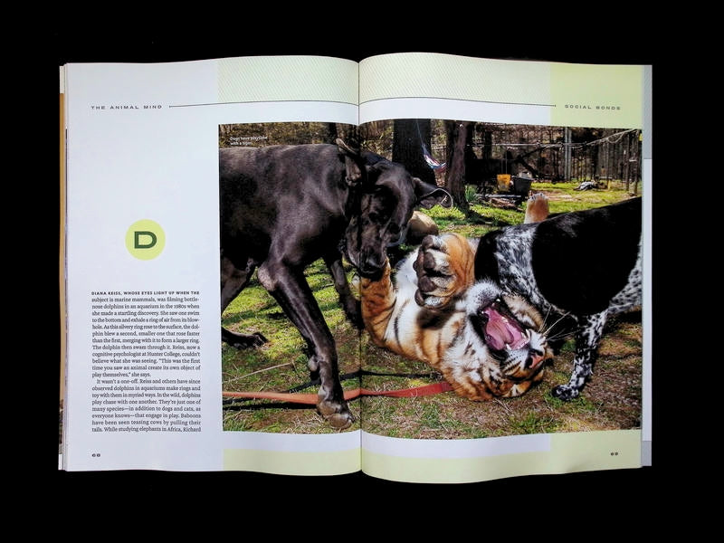 NATIONAL GEOGRAPHIC/ THE ANIMAL MIND [66] (雙封面) - Part 3