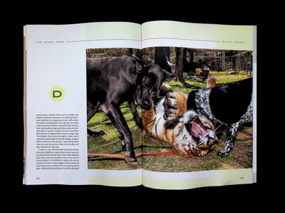 NATIONAL GEOGRAPHIC/ THE ANIMAL MIND [66] (雙封面) - Part 3