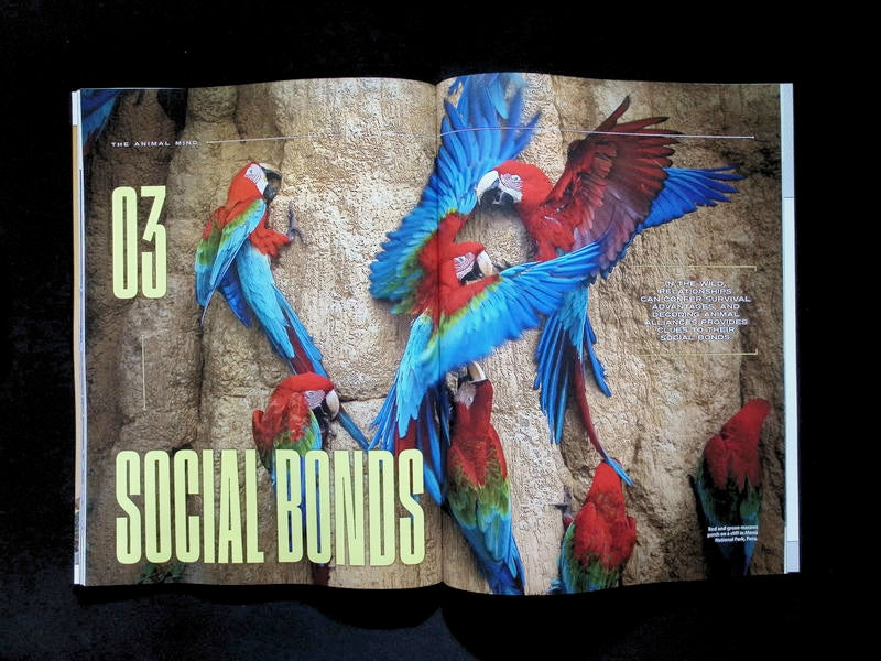 NATIONAL GEOGRAPHIC/ THE ANIMAL MIND [66] (雙封面) - Part 4