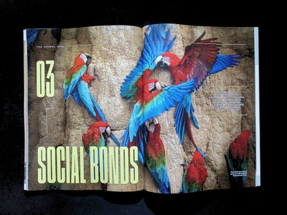 NATIONAL GEOGRAPHIC/ THE ANIMAL MIND [66] (雙封面) - Part 4