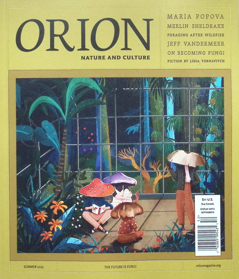 ORION [52] Summer 2025