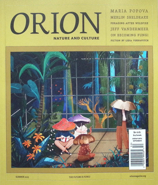 ORION [52] Summer 2025