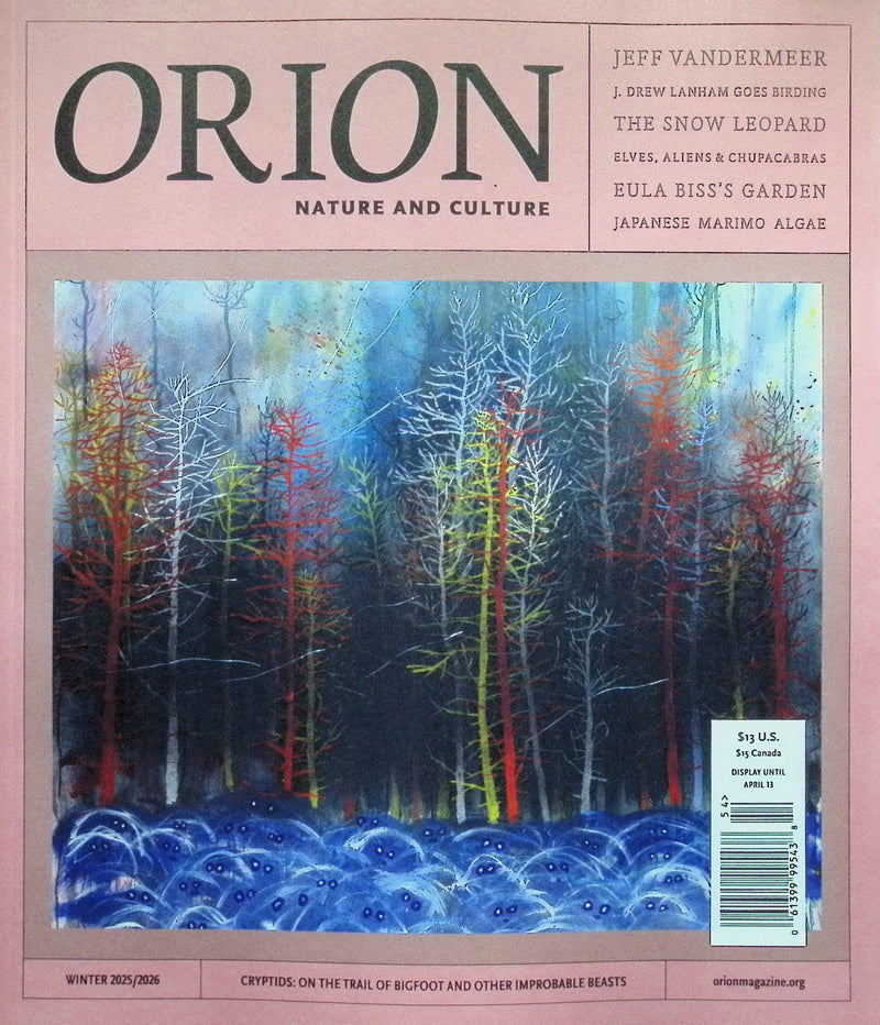 ORION [54] Winter 2025/2026