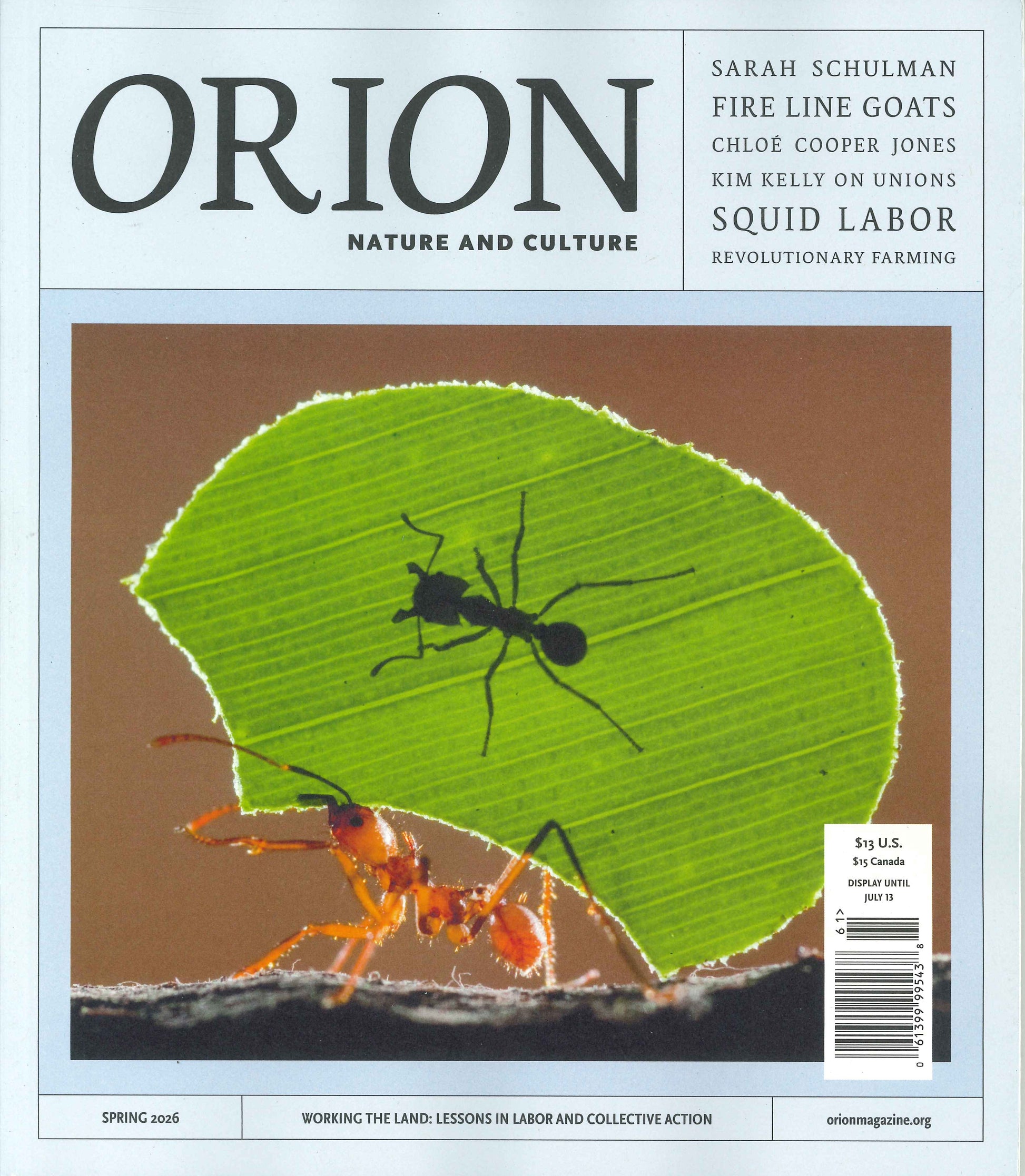 ORION [61] Spring 2026