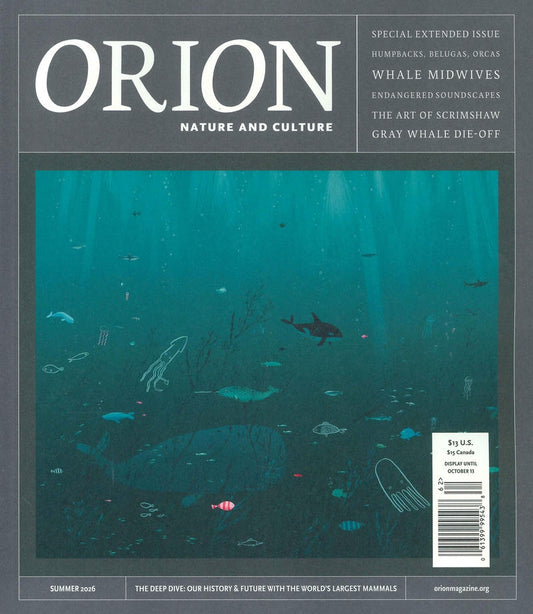 ORION [62] Summer 2026