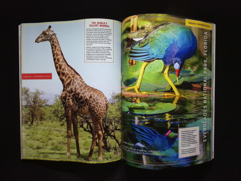 ORIGIN.MAGAZINE *** [53] V.61