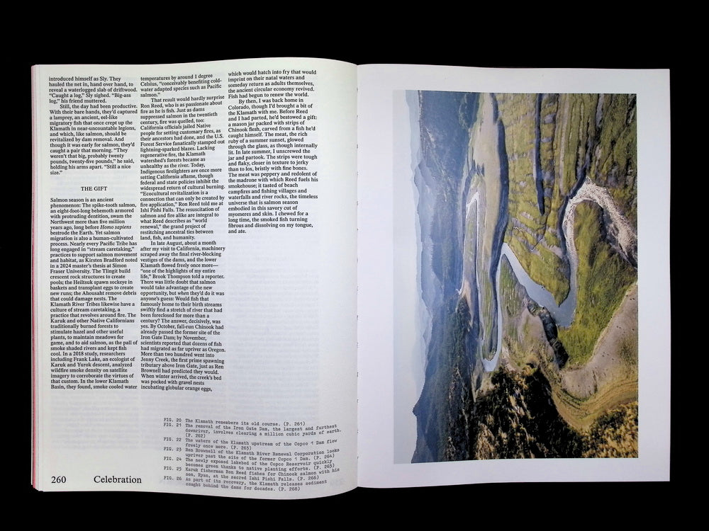 Emergence Magazine *** Vol.6