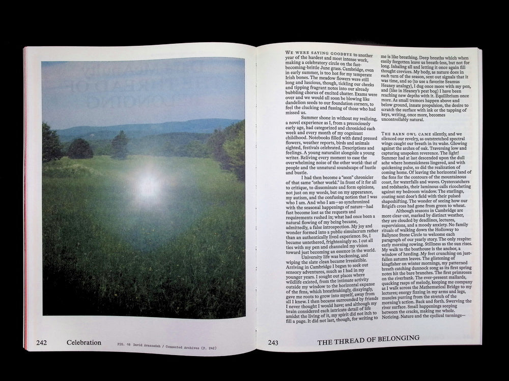 Emergence Magazine *** Vol.6