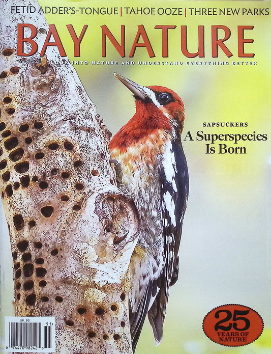 BAY NATURE *** [51] V25N1 Winter 2025