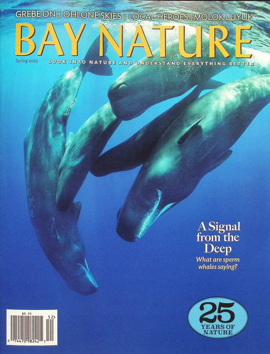 BAY NATURE *** [52] V25N2 Spring 2025