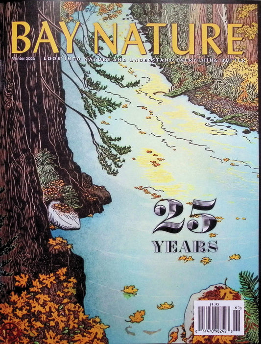 BAY NATURE *** [61] V26N1 Winter 2026