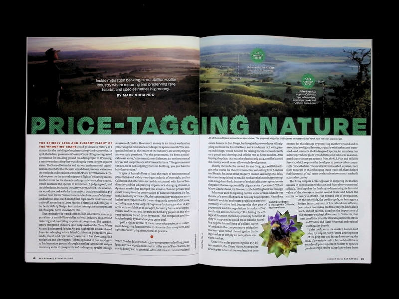 BAY NATURE *** [63] V26N3 Summer 2026 - Part 4