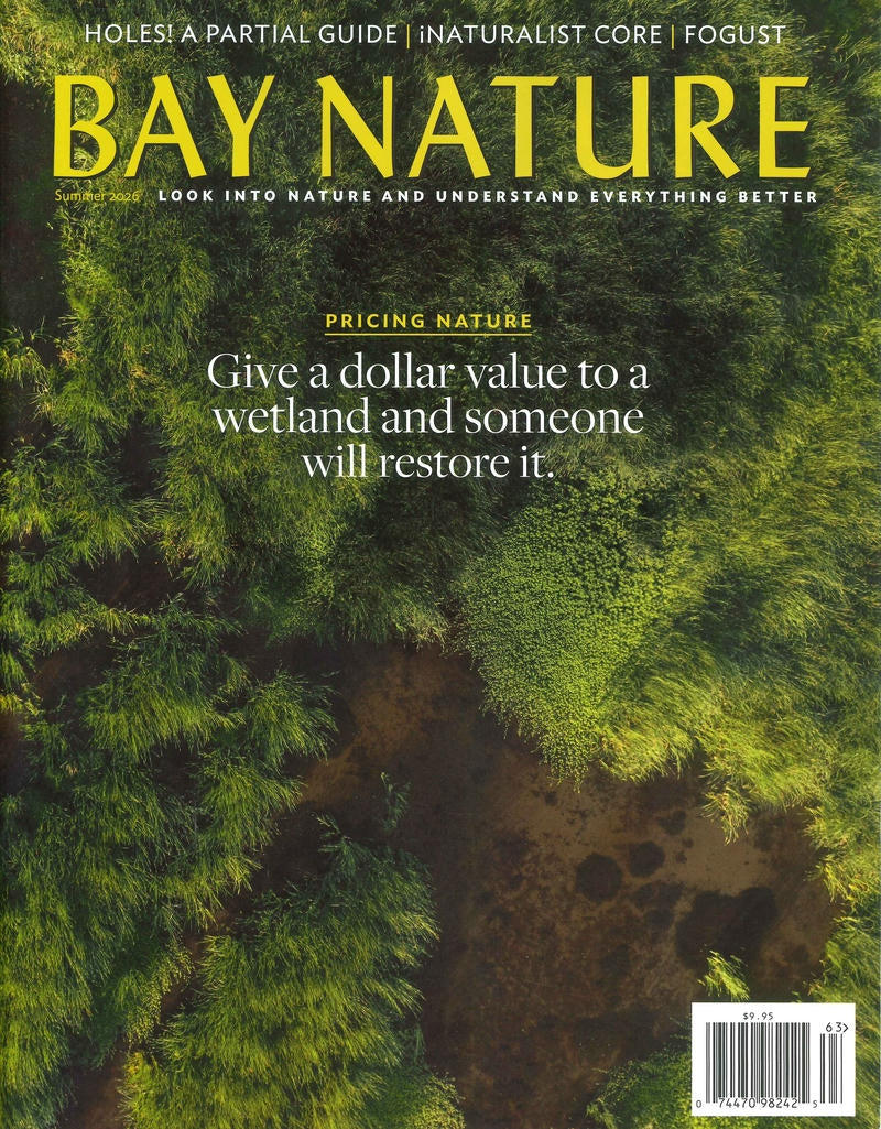 BAY NATURE *** [63] V26N3 Summer 2026