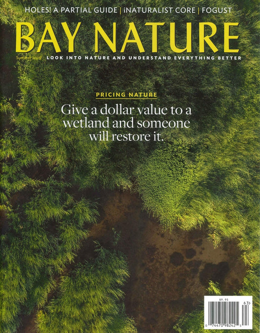 BAY NATURE *** [63] V26N3 Summer 2026