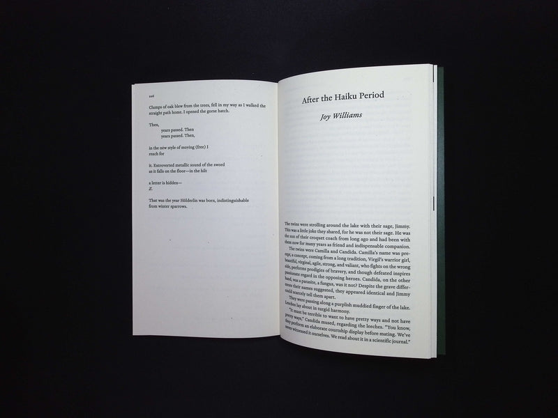PARIS REVIEW [52] N252 Summer 2025