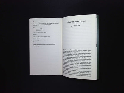 PARIS REVIEW [52] N252 Summer 2025