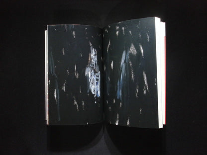 THE PARIS REVIEW [53] N253 Fall 2025