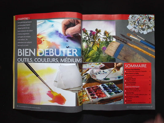 EDITIONS DU CHEVALET/100 idees faciles aqua.. NO.18 2025