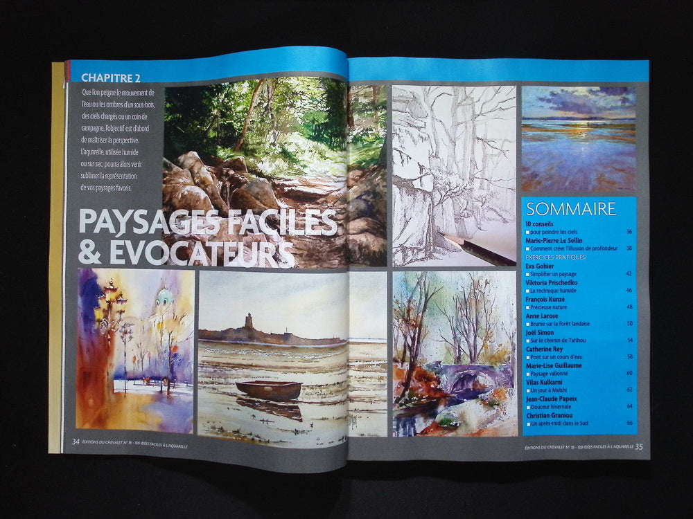 EDITIONS DU CHEVALET/100 idees faciles aqua.. NO.18 2025