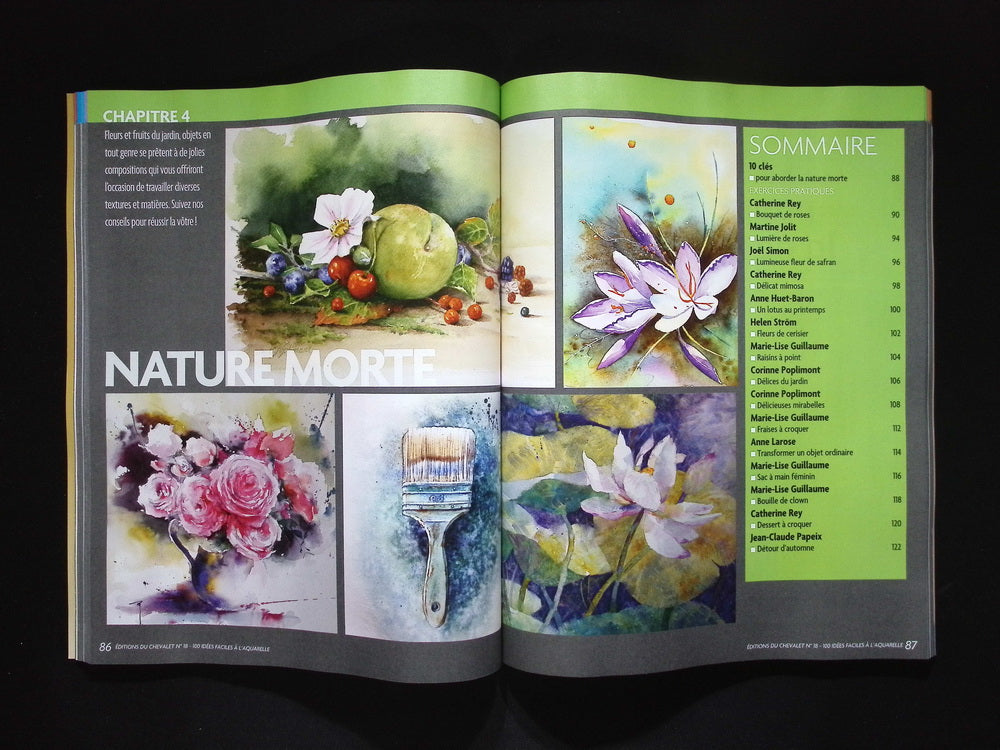 EDITIONS DU CHEVALET/100 idees faciles aqua.. NO.18 2025