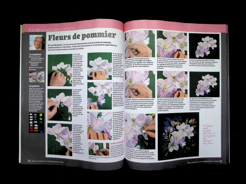 EDITIONS DU CHEVALET/100 idees faciles pastel NO.19 Dec'25-Jan.Fev'26