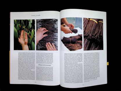 yam N°83 Sep.Oct 2025