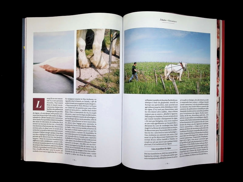 yam N°88 ETE 2026 - Part 3