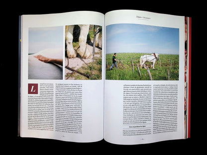 yam N°88 ETE 2026 - Part 3
