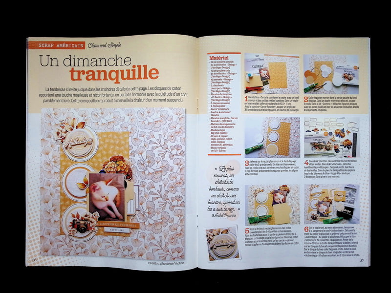Passion SCRAPBOOKING N.113 Janvier-Fevrier-Mars 2026