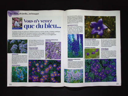 Atelier Floral N°78 Juil-Aout-Sept 2025