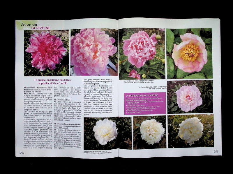 Atelier Floral N°80 Jan-Fev-Mars 2026 - Part 4