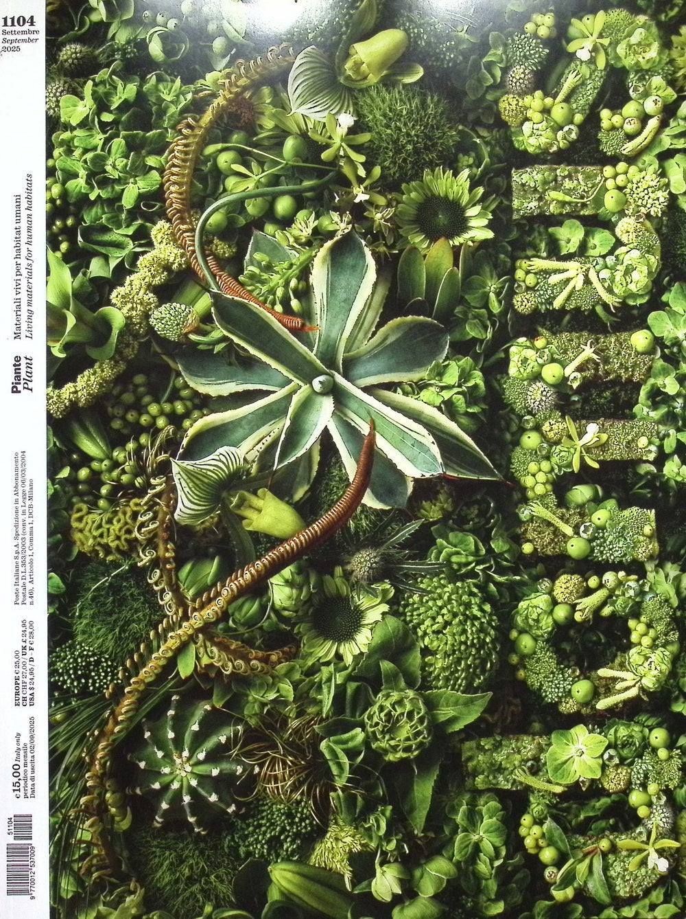Domus [51104] n.1104 : Settembre 2025+別冊