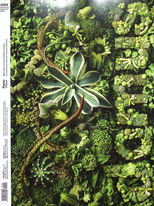 Domus [51104] n.1104 : Settembre 2025+別冊