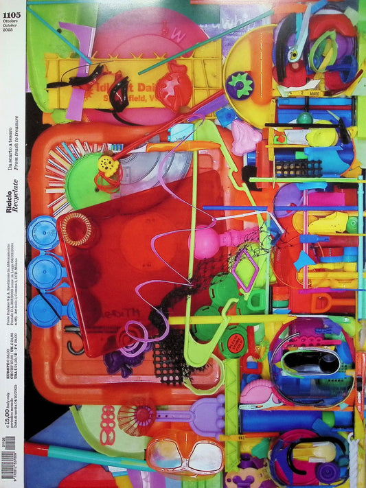 Domus [51105] n.1105 : Ottobre 2025