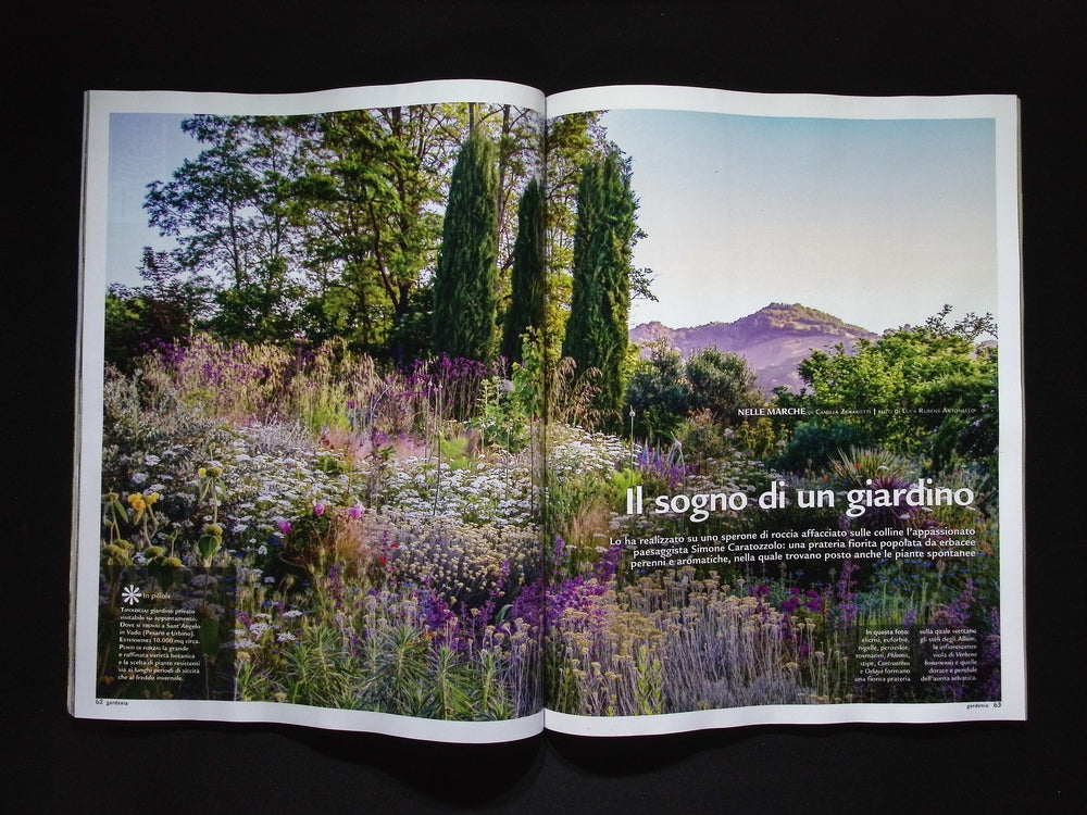 GARDENIA [50494] N.494 Giugno 2025+別冊