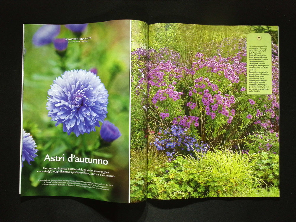 Gardenia [50498] N.498 Ottobre 2025+別冊