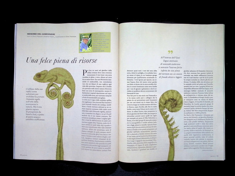 Gardenia [50500] N.500 Dicembre 2025