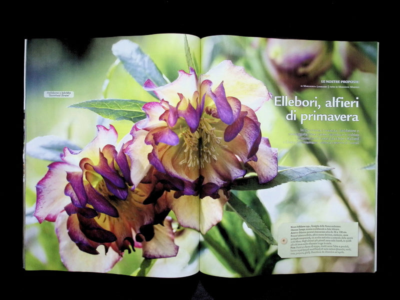 Gardenia [60502] N.502 Febbraio 2026+別冊 - Part 1