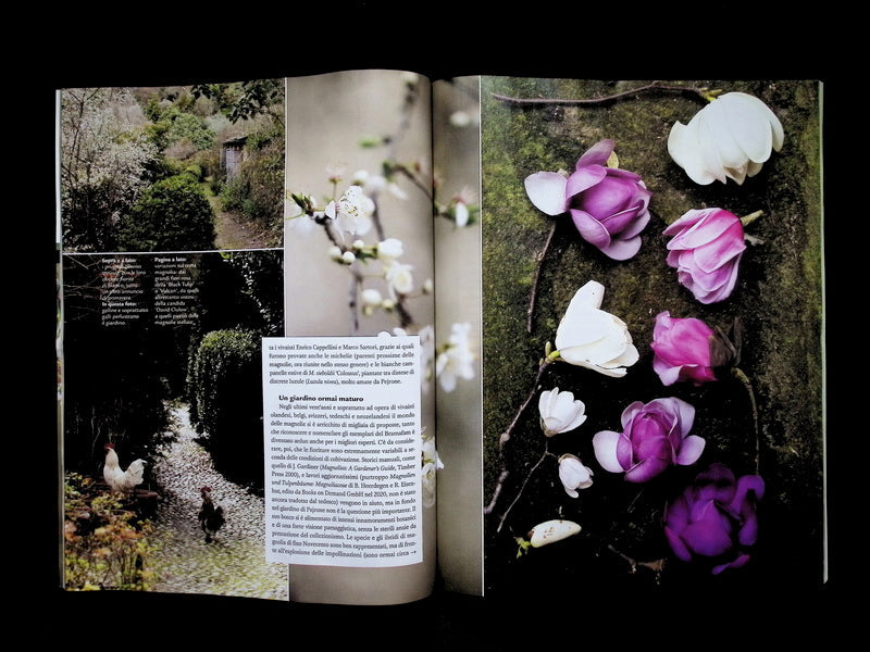 Gardenia [60502] N.502 Febbraio 2026+別冊 - Part 4