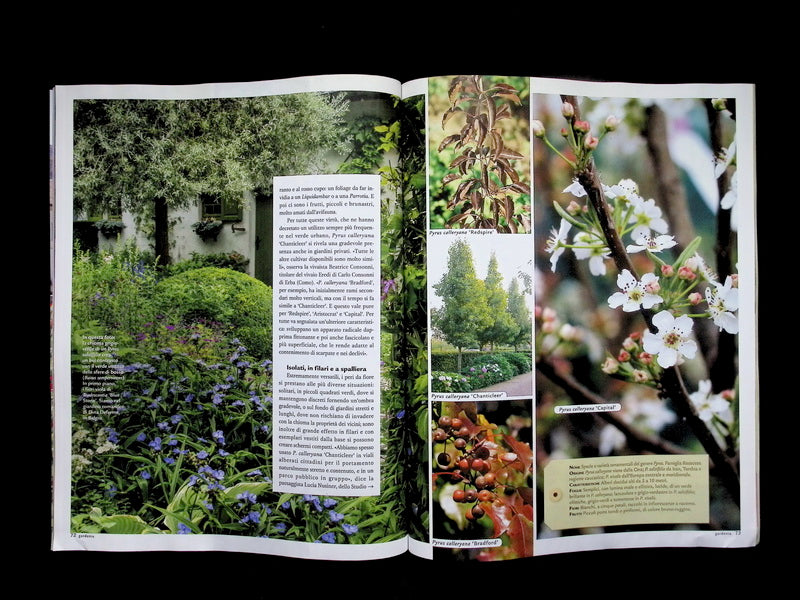 Gardenia [60503] N.503 Marzo 2026+別冊 - Part 2